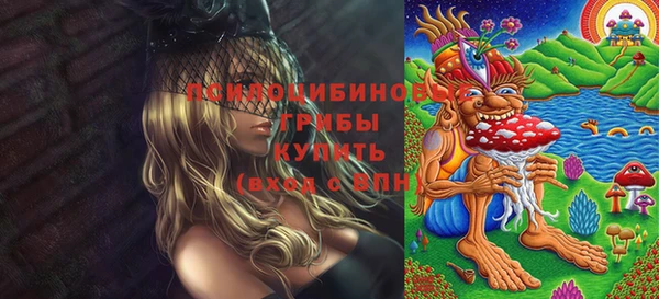 тгк Арсеньев