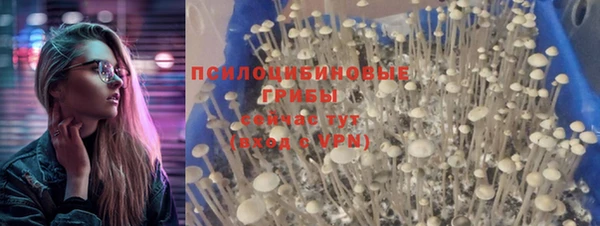 крисы Аркадак