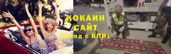 крисы Аркадак